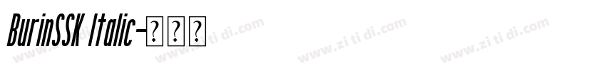 BurinSSK Italic字体转换